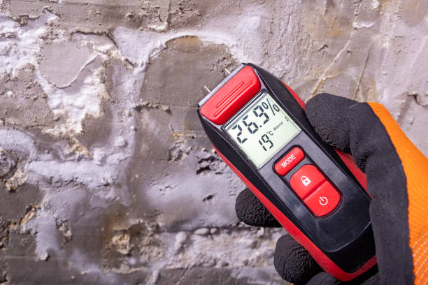 Best Emergency Mold Removal  in Villa Ridge, MO