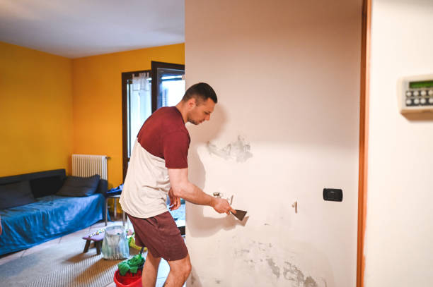 Office Mold Removal Services in Villa Ridge, MO